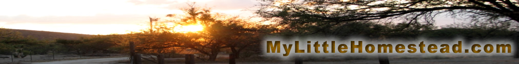 Header