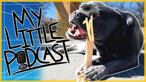 Dog Luna with Long Hair? | Episode 108 | My Little Podcast