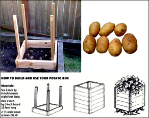 Square foot garden idea