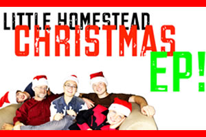 Christmas Original & Cover Tunes by Little Homestead Country Band