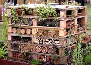 High Rise Gardening