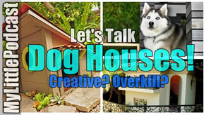 Dog House Ideas | Livestream | My Little Podcast