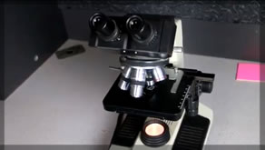 3D Printing a iPhone Mount For a Microscope! | Bring the Specimen Up Close!