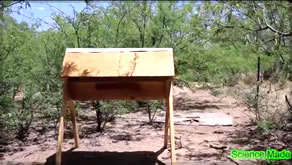 how to build a cheap top bar bee hive